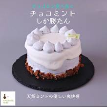 画像をギャラリービューアに読み込む, チョコミントしか勝たん